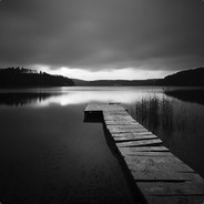 Skr33 - steam id 76561197960490881