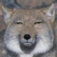 起猛了，看见梗小姐在疯狂亲我