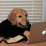 Doggywarfare