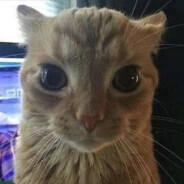 Joempie24 's avatar