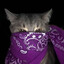 Bandit