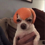 W I C K E D R A B B B I T