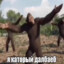 золик