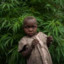 WeeD