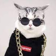 ℙ𝕚𝕟𝕟𝔸𝕥