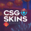 3R™ ✓ ツ CSGOSKINS