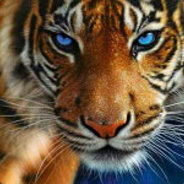 Orage De SEX    [JDBH]