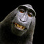 Cheeky Monkey.'s avatar