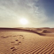 水随天去秋无际