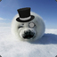 Sir Seal