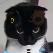 AAA.上门代吃空师傅