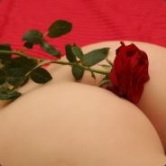 -*S.N.P*-[LesFaucons2Guerre*]