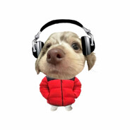 疯狂的土豆地雷