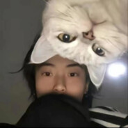 中门飞行员斯派克