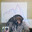 ALTAIR_01