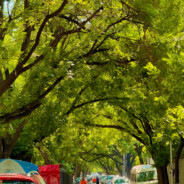 超级无敌大恐龙