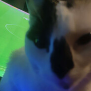 LegiTho avatar