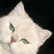 🌈 璐璐大王~ ♪