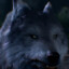 Avatar of player ЭТО НЕ ДЖЕКСОН