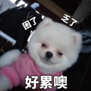 冰摇红梅黑加仑