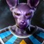 Beerus.™