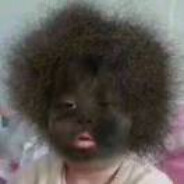 六百六十六演都不演了