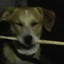 Drumboy