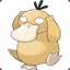 Super annoying psyduck