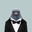 Mr.Pigeon