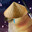 CoconutZH