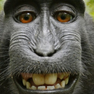 J. Lobert Oppenheader