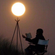 ♡幽幽的一朵海棠花♡