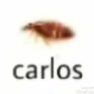 Carlos