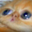 Mister_Sugar