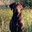 -Duke-