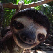 Sloth