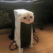 ⑦小对、我胡了