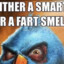 Fart Smella