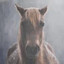 Evil and Intimidating Horse