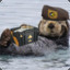 Otter-J