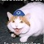 Jewcat