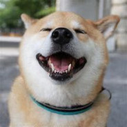 你也遗憾对吗？