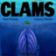 CalmCalamityClam