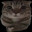 the vessel's Avatar