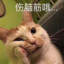 名不知怎起 一脸懵逼