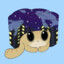 spacecat
