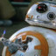 BB8crazy