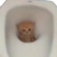 IKUN