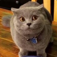 K@ISER - steam id 76561197964463637