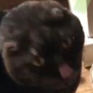 ッ𝕸𝖗.𝕻𝖗𝖔𝕲.シ - steam id 76561198877793706